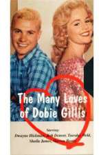 Watch The Many Loves of Dobie Gillis 123MovieFree