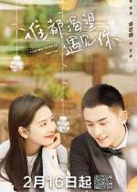 Watch Everyone Wants to Meet You 123MovieFree