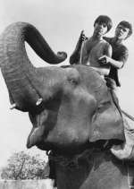 Watch Maya 123MovieFree