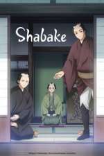 Watch Shabake 123MovieFree