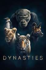 Watch Dynasties 123MovieFree