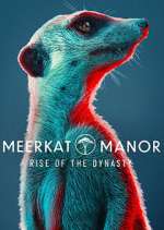 Watch Meerkat Manor: Rise of the Dynasty 123MovieFree