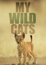 Watch My Wild Cats 123MovieFree