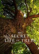 Watch The Secret Life of Trees 123MovieFree