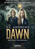 Watch V.C. Andrews' Dawn 123MovieFree