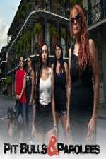 Watch Pit Bulls and Parolees 123MovieFree