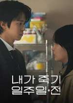 Watch Way Back Love 123MovieFree