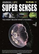 Watch Super Senses 123MovieFree