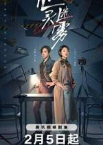 Watch Lies Never Lie 123MovieFree