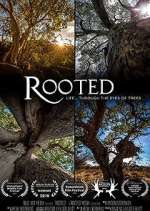 Watch Rooted 123MovieFree
