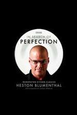 Watch In Search of Perfection 123MovieFree