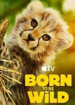 Watch Born to Be Wild 123MovieFree
