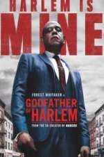 Watch Godfather of Harlem 123MovieFree
