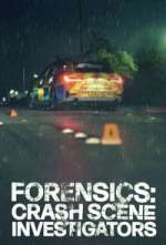 Watch Forensics: Crash Scene Investigators 123MovieFree