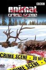 Watch Animal Crime Scene 123MovieFree