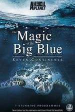Watch The Magic of the Big Blue 123MovieFree