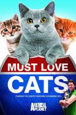 Watch Must Love Cats 123MovieFree