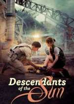 Watch Descendants of the Sun 123MovieFree