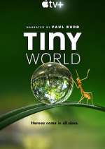 Watch Tiny World 123MovieFree