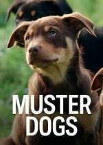 Watch Muster Dogs 123MovieFree