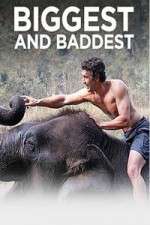 Watch Biggest and Baddest 123MovieFree