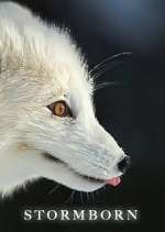 Watch Stormborn 123MovieFree