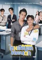 Watch My Stubborn 123MovieFree