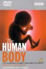 Watch The Human Body 123MovieFree