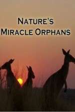 Watch Nature's Miracle Orphans 123MovieFree