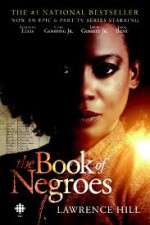 Watch The Book of Negroes 123MovieFree