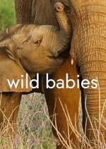 Watch Wild Babies 123MovieFree