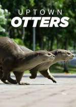 Watch Uptown Otters 123MovieFree