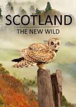 Watch Scotland - The New Wild 123MovieFree