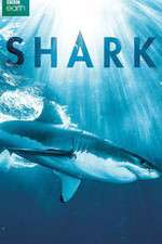 Watch Shark 123MovieFree