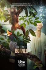 Watch Judi Dench\'s Wild Borneo Adventure 123MovieFree