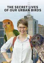 Watch The Secret Lives of Our Urban Birds 123MovieFree