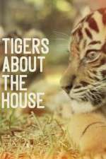 Watch Tigers About the House 123MovieFree