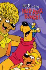 Watch Help!... It's the Hair Bear Bunch 123MovieFree