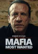 Watch Mafia: Most Wanted 123MovieFree