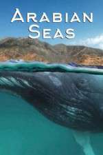 Watch Arabian Seas 123MovieFree