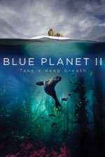 Watch Blue Planet II 123MovieFree