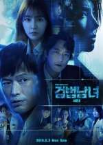 Watch Investigation Couple 123MovieFree
