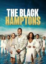 Watch Carl Weber's The Black Hamptons 123MovieFree
