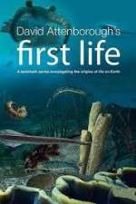 Watch David Attenborough's First Life 123MovieFree