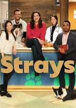 Watch Strays 123MovieFree