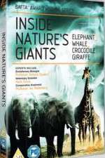 Watch Inside Nature's Giants 123MovieFree