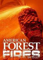 Watch American Forest Fires: The Untold Story 123MovieFree
