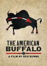 Watch The American Buffalo 123MovieFree