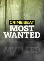 Watch Crime Beat: Most Wanted 123MovieFree