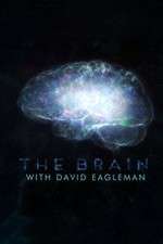 Watch The Brain with Dr David Eagleman 123MovieFree